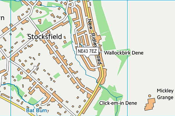 NE43 7EZ map - OS VectorMap District (Ordnance Survey)