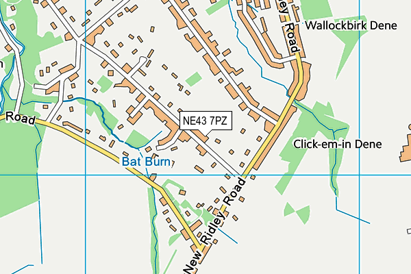 NE43 7PZ map - OS VectorMap District (Ordnance Survey)