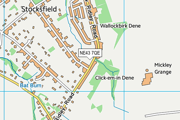 NE43 7QE map - OS VectorMap District (Ordnance Survey)