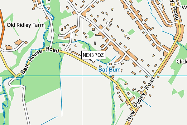 NE43 7QZ map - OS VectorMap District (Ordnance Survey)