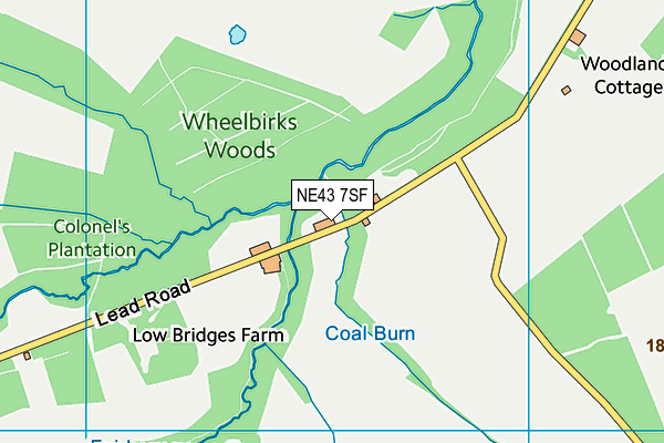 NE43 7SF map - OS VectorMap District (Ordnance Survey)