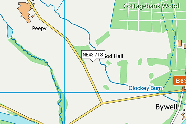 NE43 7TS map - OS VectorMap District (Ordnance Survey)