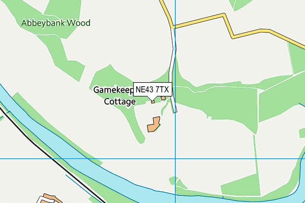 NE43 7TX map - OS VectorMap District (Ordnance Survey)