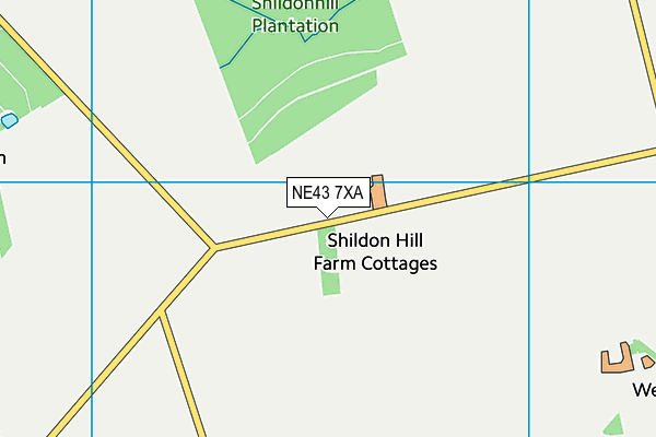 NE43 7XA map - OS VectorMap District (Ordnance Survey)