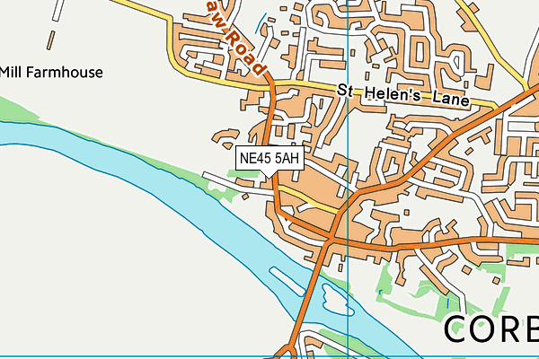 NE45 5AH map - OS VectorMap District (Ordnance Survey)