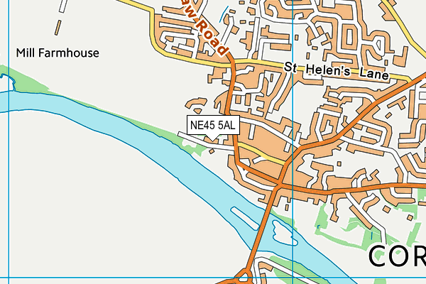 NE45 5AL map - OS VectorMap District (Ordnance Survey)