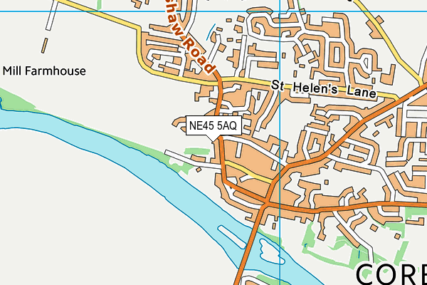 NE45 5AQ map - OS VectorMap District (Ordnance Survey)