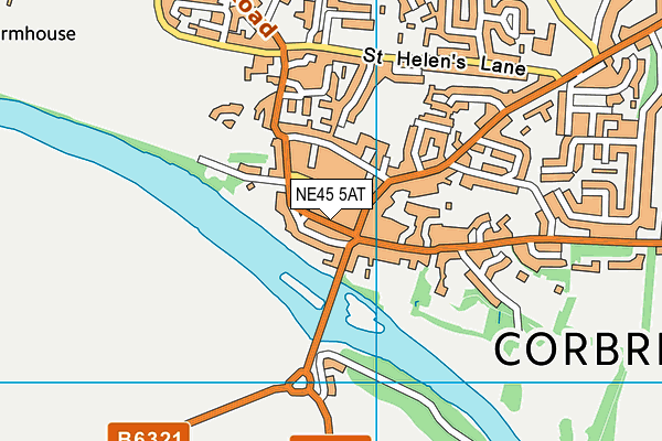 NE45 5AT map - OS VectorMap District (Ordnance Survey)