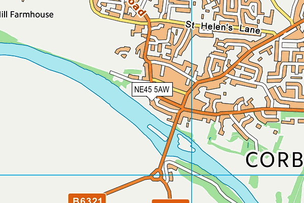 NE45 5AW map - OS VectorMap District (Ordnance Survey)
