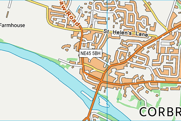 NE45 5BH map - OS VectorMap District (Ordnance Survey)