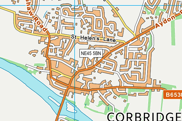 NE45 5BN map - OS VectorMap District (Ordnance Survey)