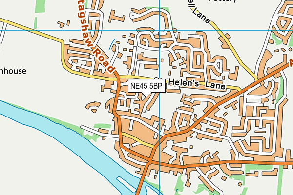 NE45 5BP map - OS VectorMap District (Ordnance Survey)