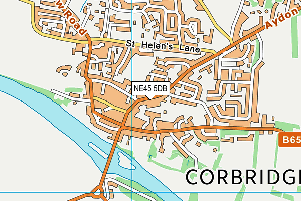 NE45 5DB map - OS VectorMap District (Ordnance Survey)