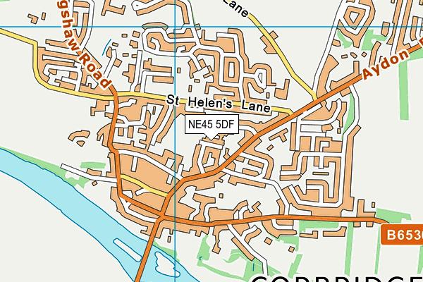 NE45 5DF map - OS VectorMap District (Ordnance Survey)