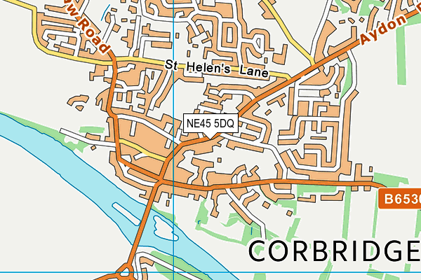 NE45 5DQ map - OS VectorMap District (Ordnance Survey)