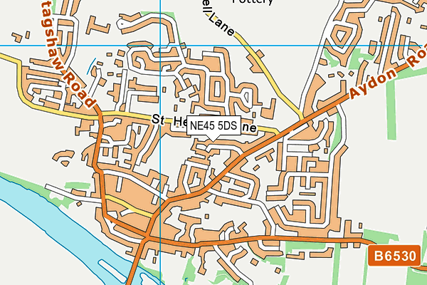 NE45 5DS map - OS VectorMap District (Ordnance Survey)