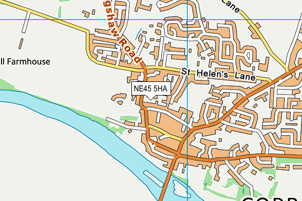 NE45 5HA map - OS VectorMap District (Ordnance Survey)