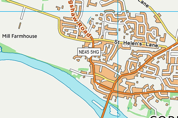 NE45 5HG map - OS VectorMap District (Ordnance Survey)