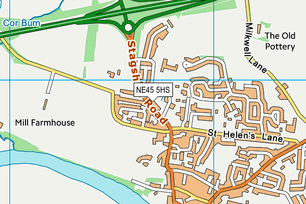 NE45 5HS map - OS VectorMap District (Ordnance Survey)