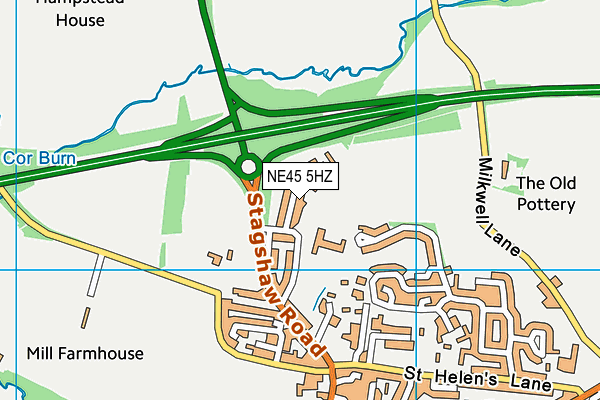 NE45 5HZ map - OS VectorMap District (Ordnance Survey)