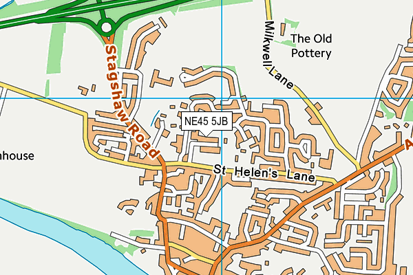 NE45 5JB map - OS VectorMap District (Ordnance Survey)