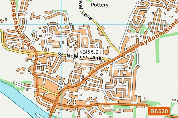NE45 5JE map - OS VectorMap District (Ordnance Survey)