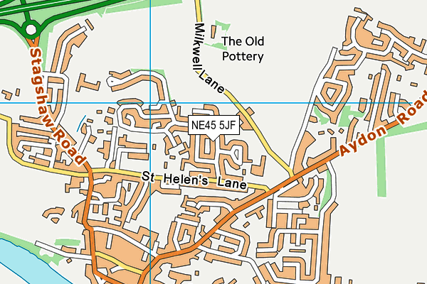 NE45 5JF map - OS VectorMap District (Ordnance Survey)