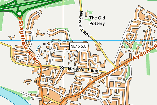 NE45 5JJ map - OS VectorMap District (Ordnance Survey)