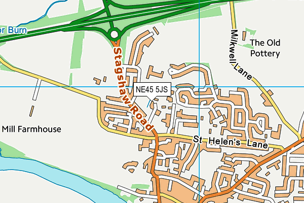 NE45 5JS map - OS VectorMap District (Ordnance Survey)