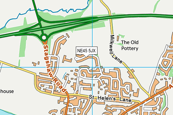 NE45 5JX map - OS VectorMap District (Ordnance Survey)