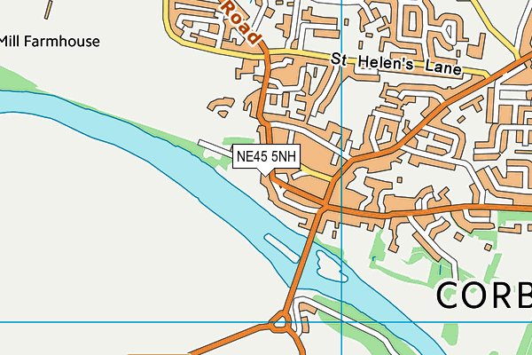 NE45 5NH map - OS VectorMap District (Ordnance Survey)