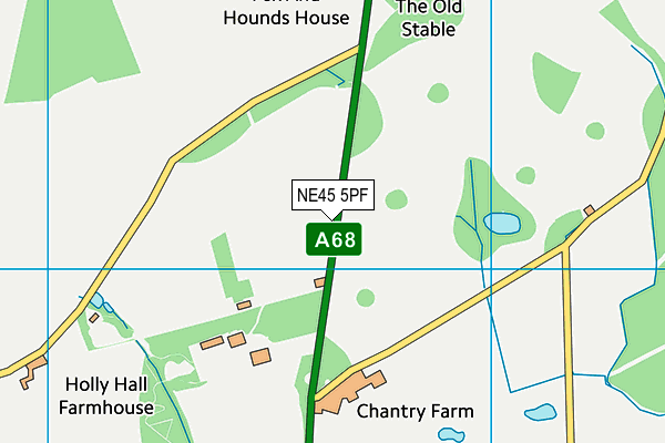 NE45 5PF map - OS VectorMap District (Ordnance Survey)