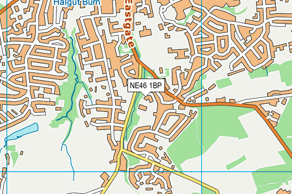 NE46 1BP map - OS VectorMap District (Ordnance Survey)