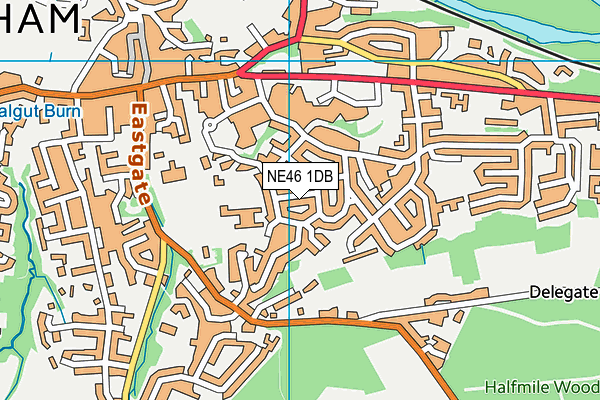 NE46 1DB map - OS VectorMap District (Ordnance Survey)