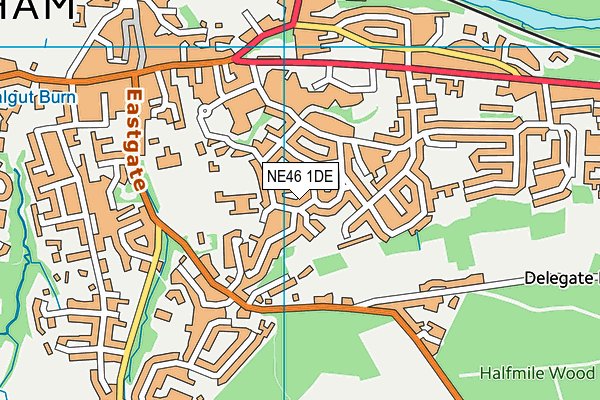 NE46 1DE map - OS VectorMap District (Ordnance Survey)