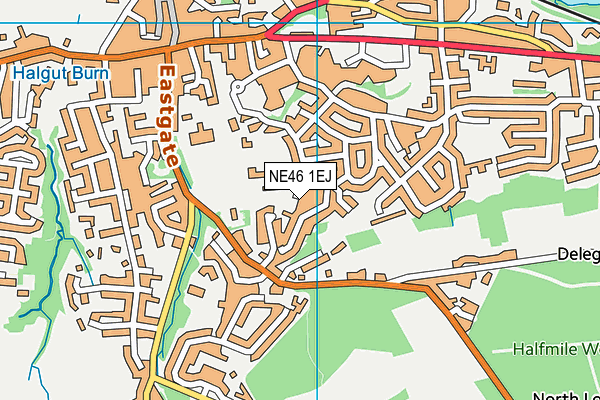 NE46 1EJ map - OS VectorMap District (Ordnance Survey)