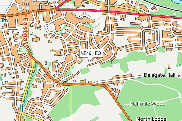 NE46 1EQ map - OS VectorMap District (Ordnance Survey)