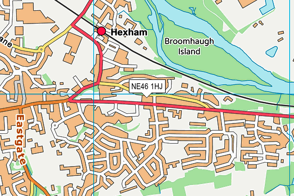NE46 1HJ map - OS VectorMap District (Ordnance Survey)