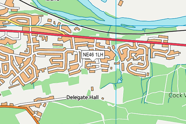 NE46 1LH map - OS VectorMap District (Ordnance Survey)