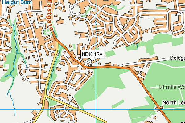NE46 1RA map - OS VectorMap District (Ordnance Survey)