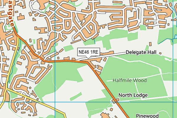 NE46 1RE map - OS VectorMap District (Ordnance Survey)