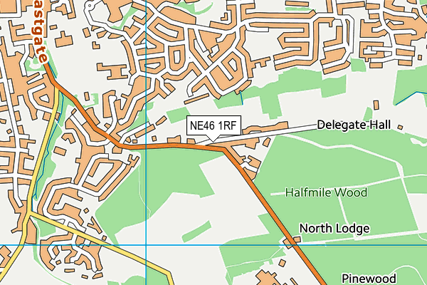 NE46 1RF map - OS VectorMap District (Ordnance Survey)