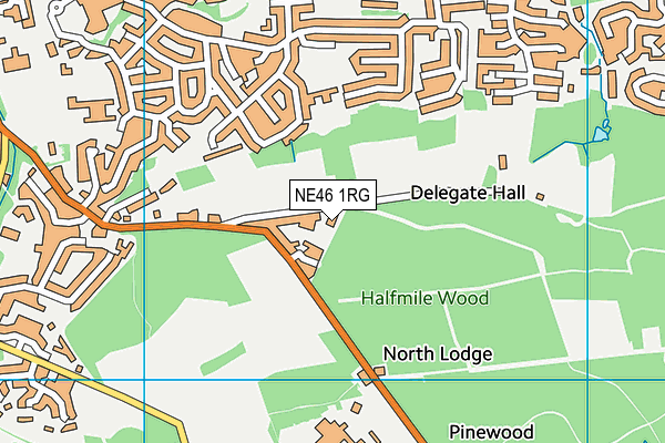 NE46 1RG map - OS VectorMap District (Ordnance Survey)