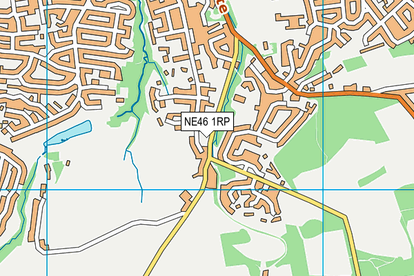 NE46 1RP map - OS VectorMap District (Ordnance Survey)