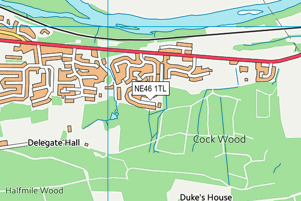 NE46 1TL map - OS VectorMap District (Ordnance Survey)