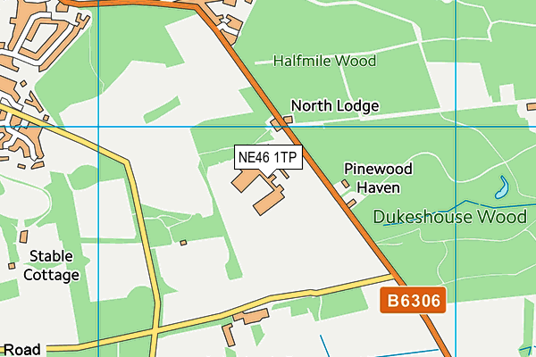 Dukeshouse Wood map (NE46 1TP) - OS VectorMap District (Ordnance Survey)