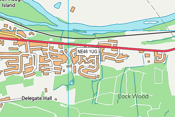 NE46 1UG map - OS VectorMap District (Ordnance Survey)