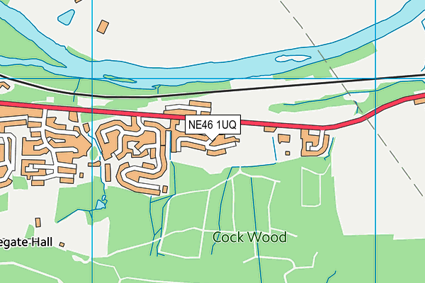 NE46 1UQ map - OS VectorMap District (Ordnance Survey)