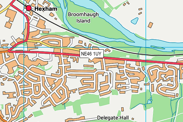 Hexham Priory School map (NE46 1UY) - OS VectorMap District (Ordnance Survey)