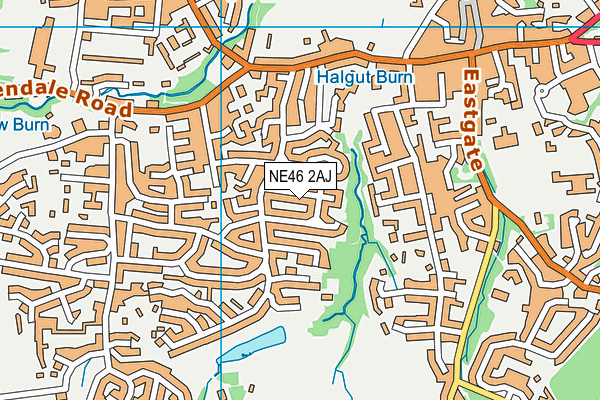 NE46 2AJ map - OS VectorMap District (Ordnance Survey)